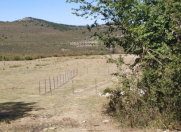 Satılır 11 sot torpaq Qusar