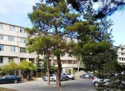 Satılır 3 otaqlı 80 m2 köhnə tikili Bakıxanov