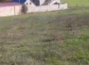 Satılır 10 sot torpaq Şamaxı