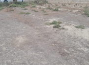 Satılır 6 sot torpaq Qobu