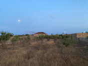 Satılır 10 sot torpaq Bilgəh