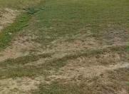 Satılır 2300 sot torpaq Məhəmmədli