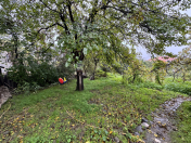 Satılır 7 sot torpaq Qusar