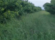 Satılır 58 sot torpaq Xaçmaz