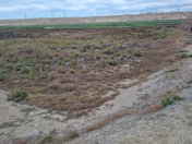 Satılır 600 sot torpaq Binəqədi r.