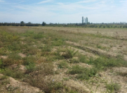 Satılır 520 sot torpaq Xızı