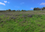 Satılır 36 sot torpaq Quba