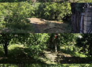 Satılır 3 otaqlı 1200 m2 həyət evi Biləcəri