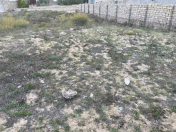 Satılır 6 sot torpaq Xaşaxuna