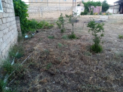Satılır 10 sot torpaq Bilgəh