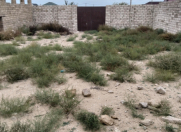 Satılır 5 sot torpaq Dübəndi bağları