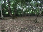 Satılır 10 sot torpaq Quba