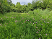 Satılır 22 sot torpaq Şəki