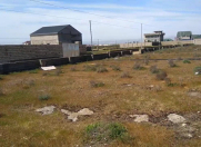 Satılır 10 sot torpaq Türkan