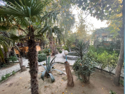 İcarəyə verilir 7 otaqlı 440 m2 obyekt Şüvəlan Park ticarət mərkəzi