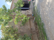 Satılır 2 otaqlı 80 m2 həyət evi Qala