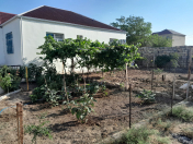 Satılır 3 otaqlı 150 m2 həyət evi Pirşağı