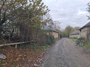 Satılır 12 sot torpaq Qəbələ