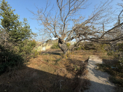 Satılır 14 sot torpaq Şüvəlan