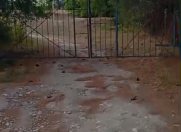 Satılır 520 sot torpaq Şabran