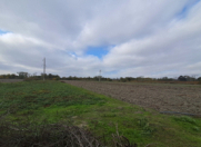 Satılır 430 sot torpaq Şabran