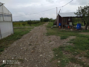 Satılır 550 sot torpaq Şəmkir