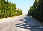 Satılır 6 sot torpaq Şüvəlan