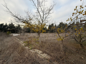 Satılır 24 sot torpaq Şüvəlan