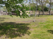 Satılır 15 sot torpaq Qəbələ