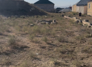 Satılır 4 sot torpaq Saray