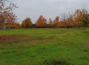 Satılır 230 sot torpaq Xaçmaz