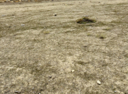 Satılır 10 sot torpaq Atyalı