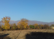 Satılır 25 sot torpaq İsmayıllı