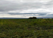 Satılır 730 sot torpaq Şəki