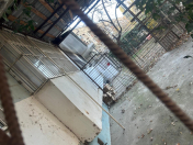 Satılır 4 otaqlı 65 m2 köhnə tikili Gəncə