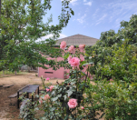 Satılır 4 otaqlı 180 m2 bağ evi Saray