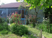 Satılır 3 otaqlı 90 m2 həyət evi Qəbələ