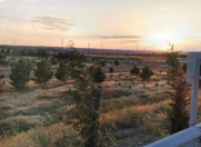 Satılır 22 sot torpaq Zığ