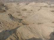 Satılır 150 sot torpaq Puta