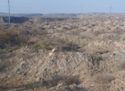 Satılır 120 sot torpaq Sea Breeze Resort