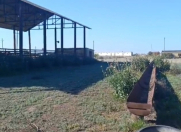 Satılır 30 otaqlı 4500000 m2 obyekt Neftçala