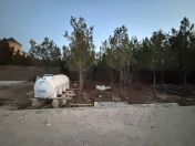 Satılır 12 sot torpaq Şüvəlan