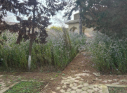 Satılır 10 sot torpaq Mərdəkan