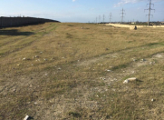 Satılır 280 sot torpaq Saray