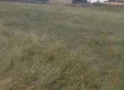 Satılır 12 sot torpaq Tovuz