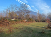 Satılır 13 sot torpaq Qəbələ