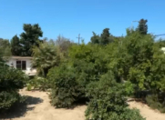 Satılır 5 sot torpaq Şüvəlan