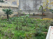 Satılır 3 sot torpaq 6 mkr