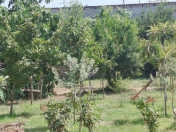 Satılır 3 otaqlı 100 m2 həyət evi Zabrat 1