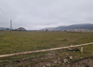 Satılır 200 sot torpaq Qusar